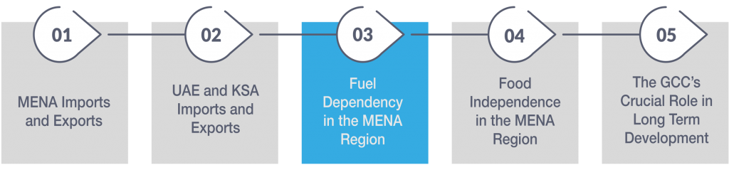 Global Trade Analysis: Fuel Dependency in the MENA Region (3 of 5)