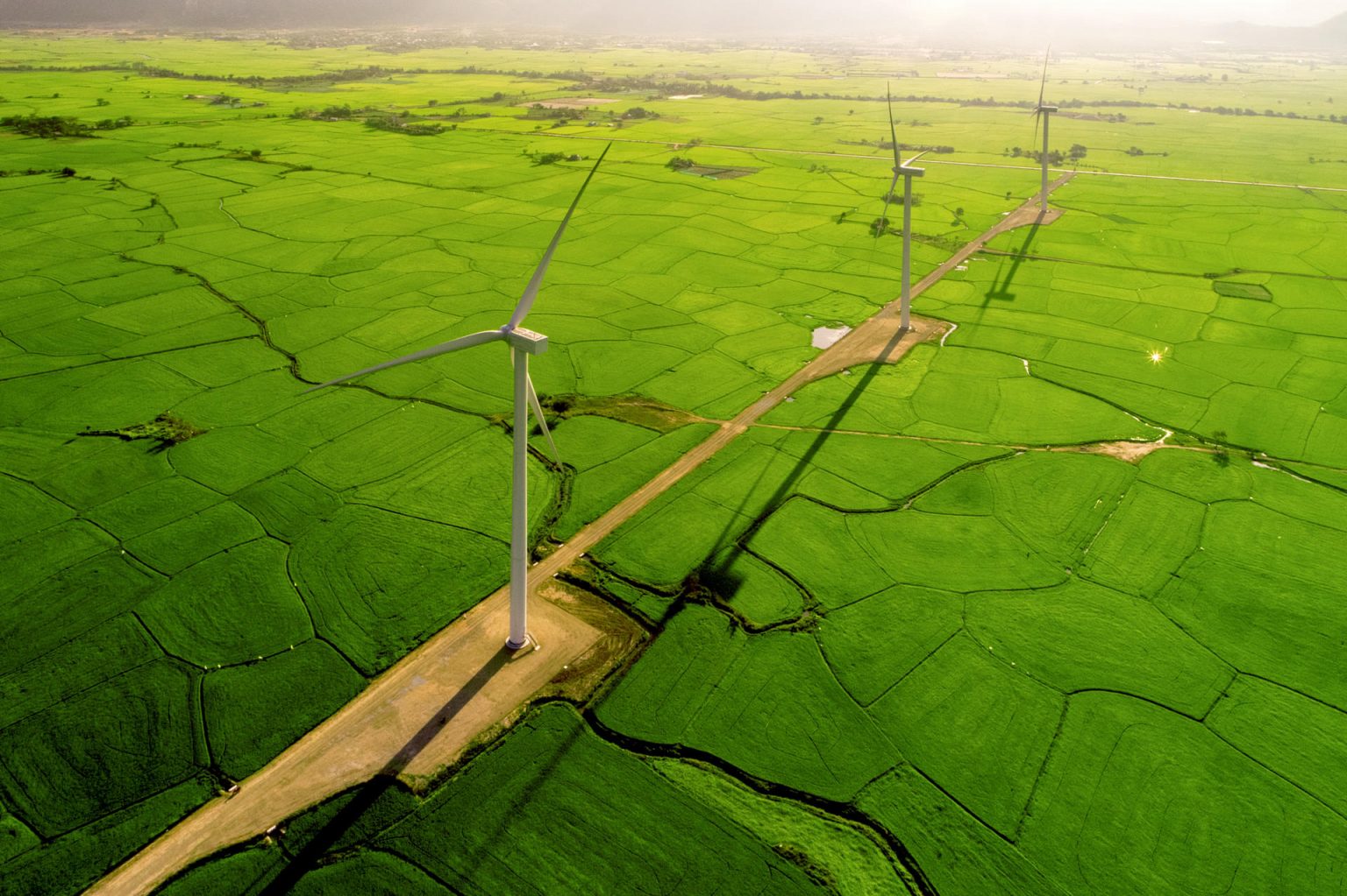 Professional field. Электроэнергия фон. Wind Farm 3d. Windy field.