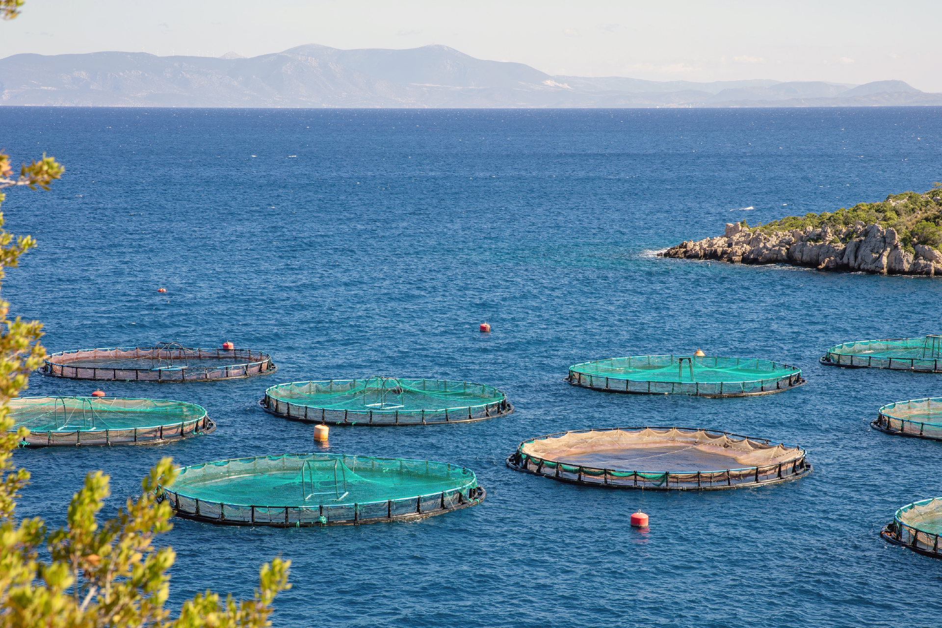 aquaculture img02web